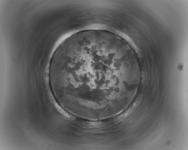 X0000099411421200805091208