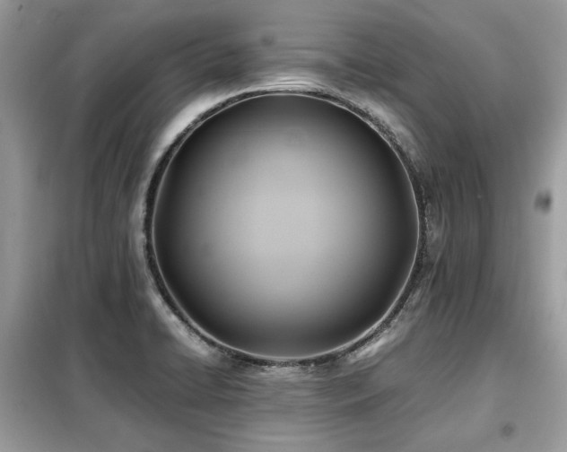 X0000099411422200805091208