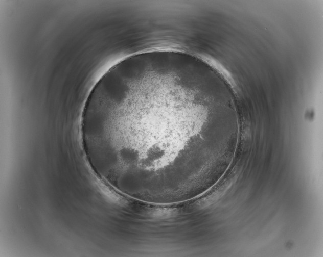 X0000099411423200805091208