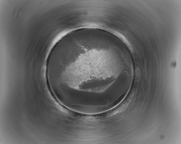 X0000099411424200805091208