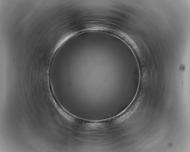 X0000099411425200805091208