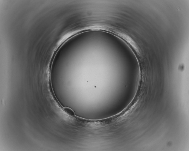 X0000099411428200805091208