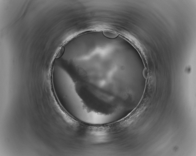 X0000099411429200805091208