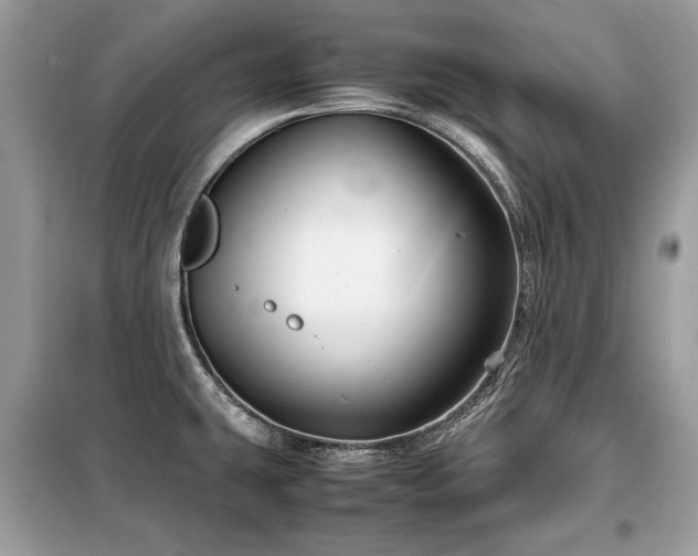 X0000099411431200805091208