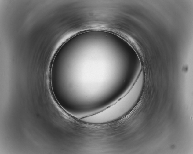 X0000099411432200805091208