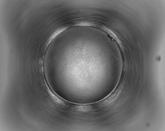 X0000099411433200805091208