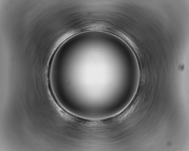 X0000099411434200805091208