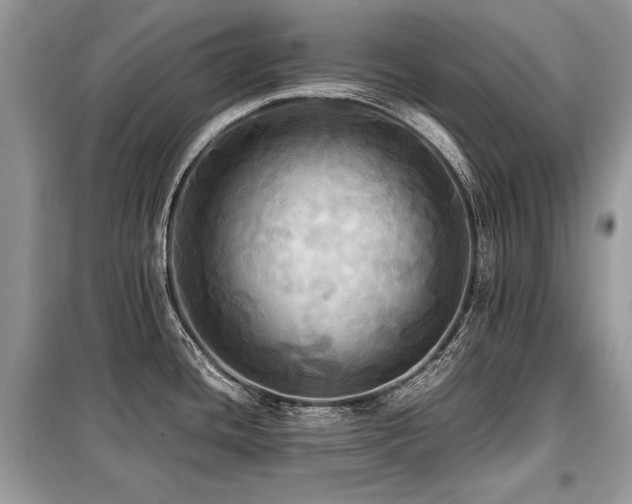 X0000099411436200805091208