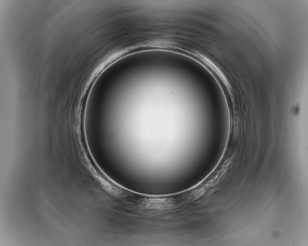 X0000099411437200805091208