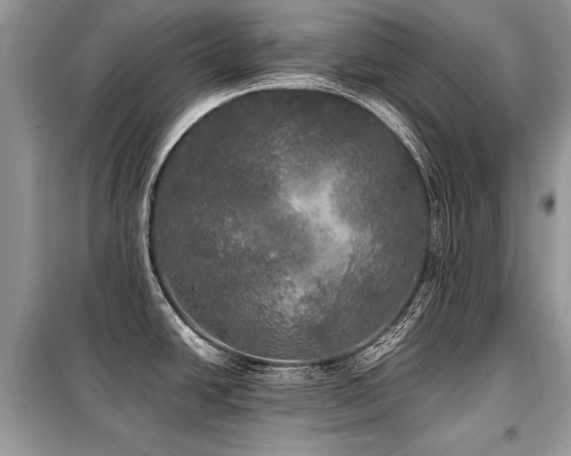 X0000099411438200805091208