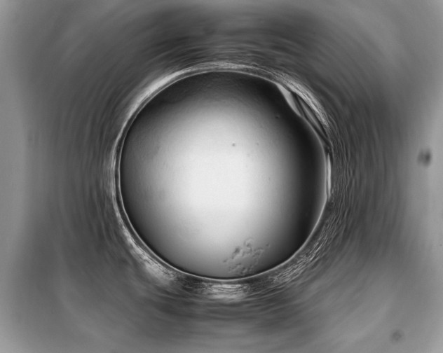 X0000099411439200805091208