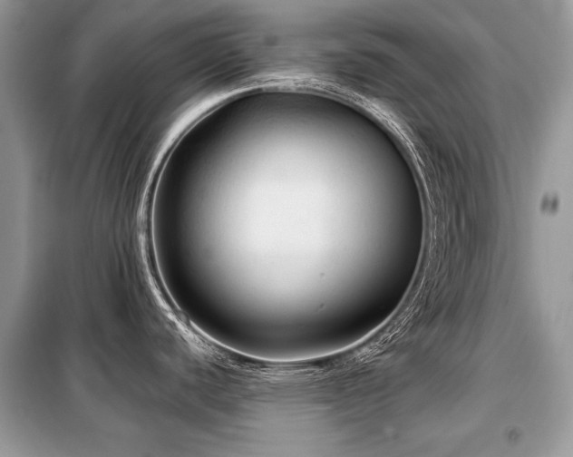X0000099411440200805091208