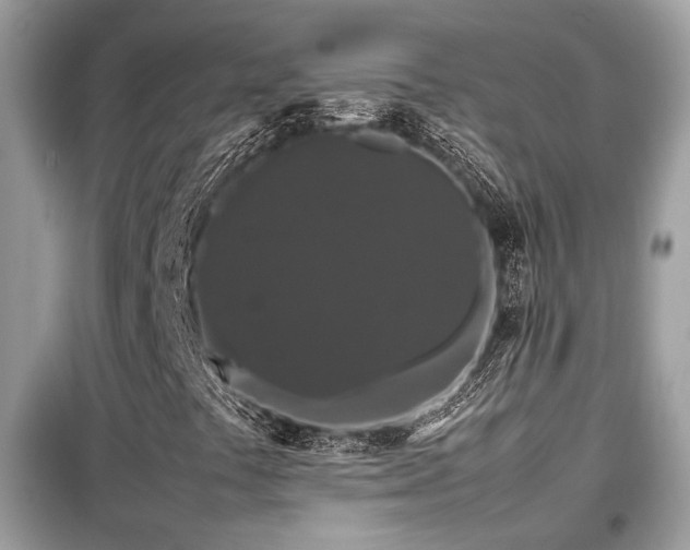 X0000099411441200805091208