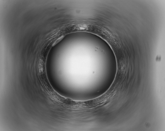 X0000099411442200805091208