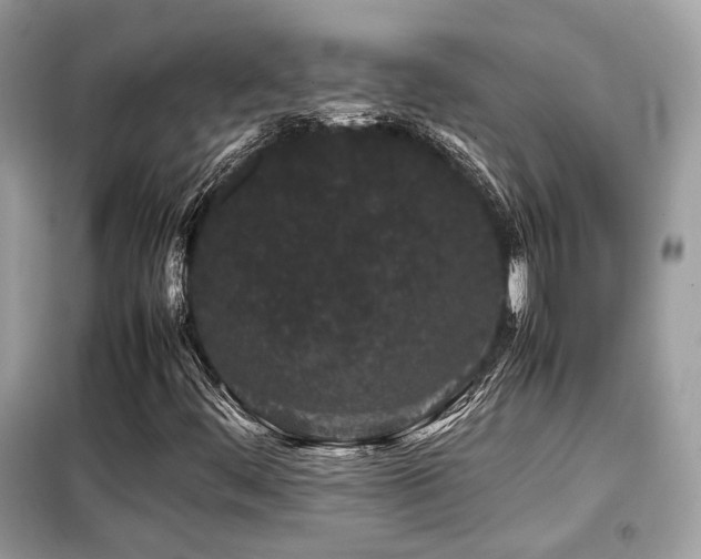 X0000099411444200805091208