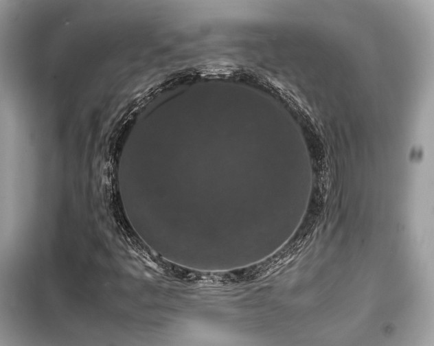 X0000099411445200805091208