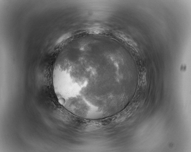 X0000099411446200805091208