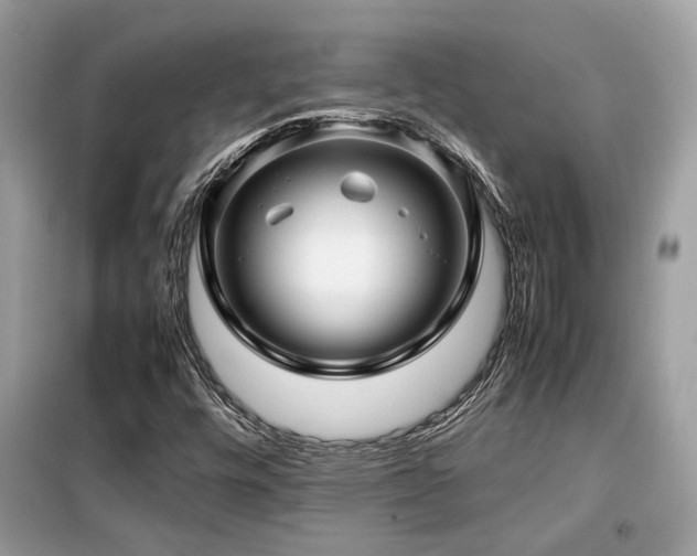 X0000099411448200805091208