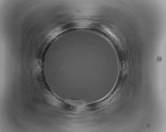 X0000099411449200805091207