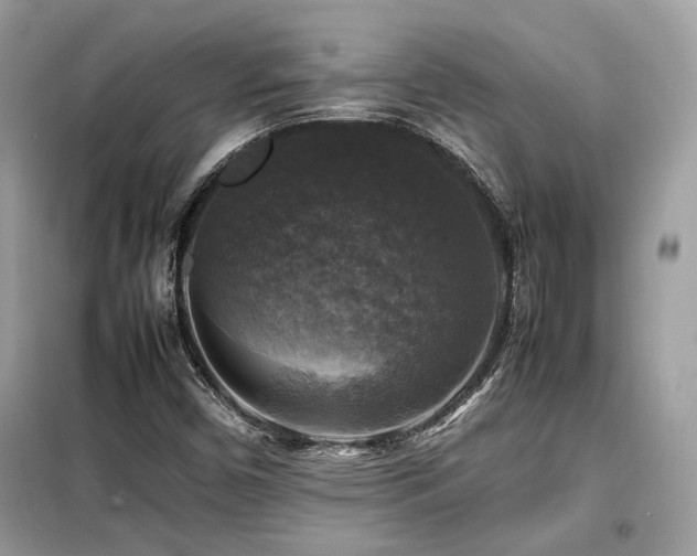 X0000099411450200805091207