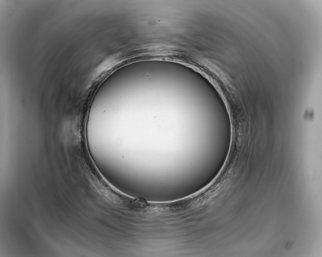 X0000099411451200805091207