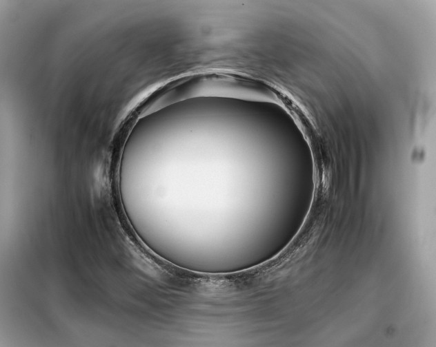 X0000099411452200805091207