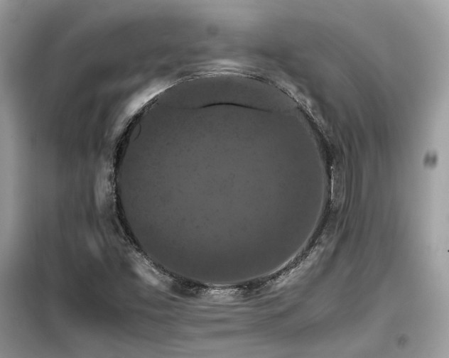 X0000099411453200805091207