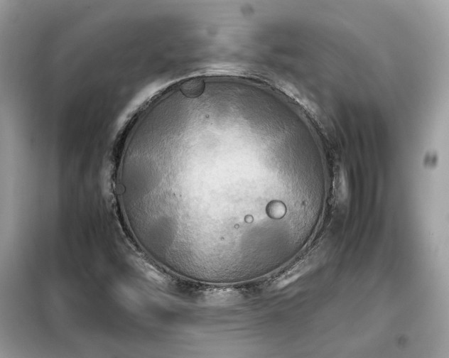 X0000099411454200805091207