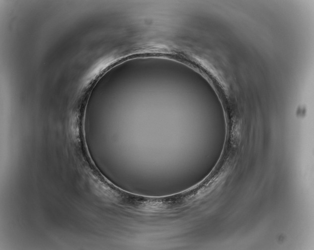 X0000099411455200805091207