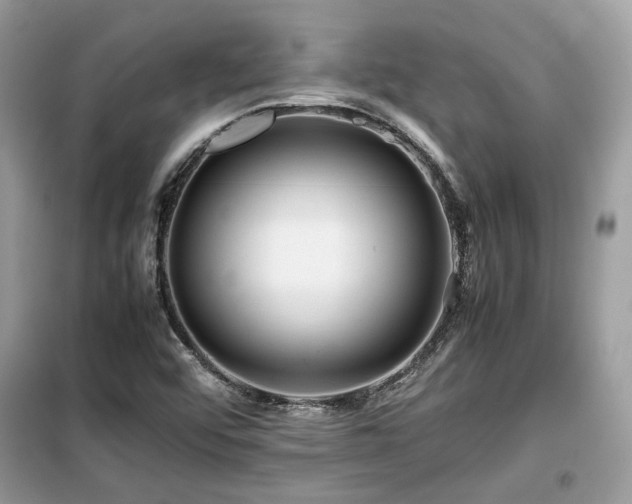 X0000099411456200805091207
