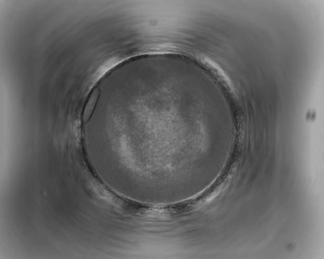 X0000099411457200805091207