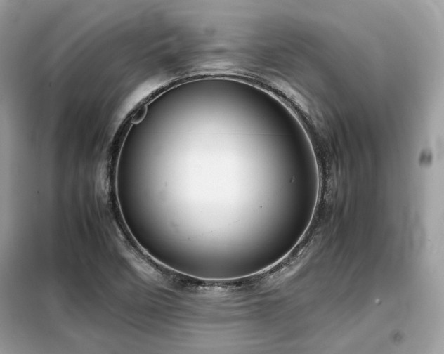X0000099411458200805091207