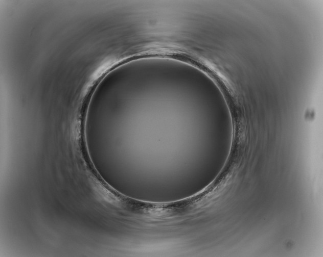 X0000099411459200805091207
