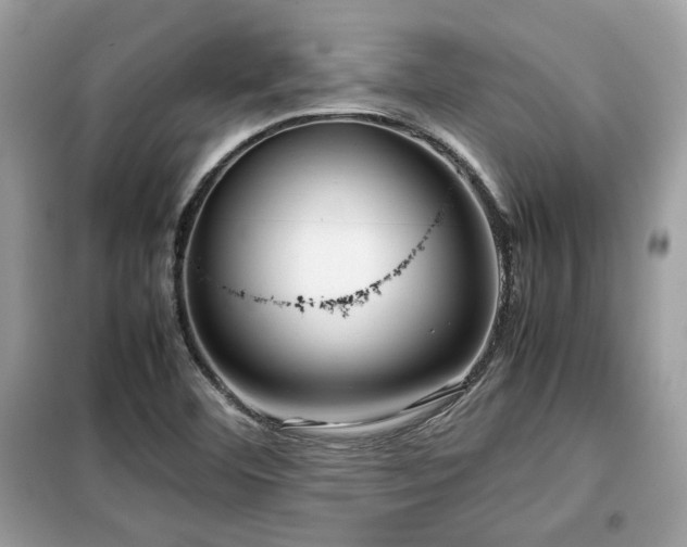 X0000099411460200805091207