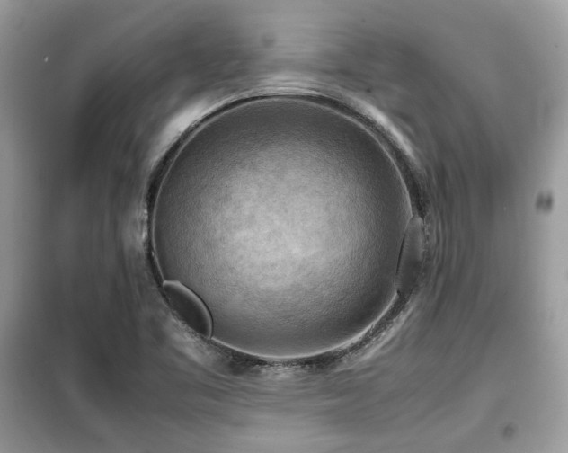 X0000099411461200805091207