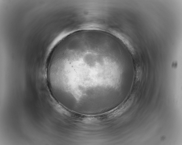 X0000099411462200805091207