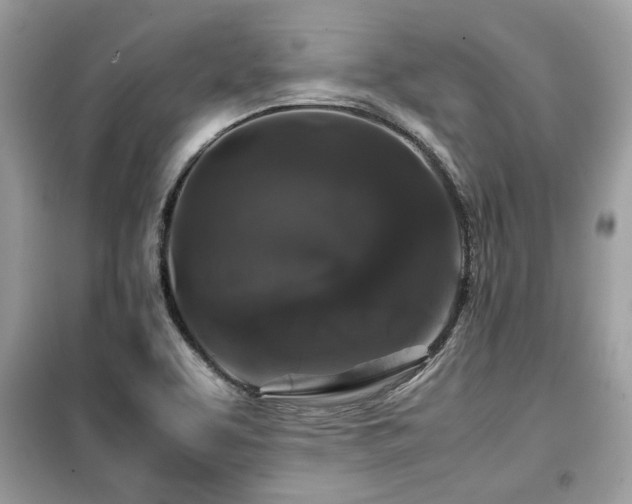 X0000099411463200805091207