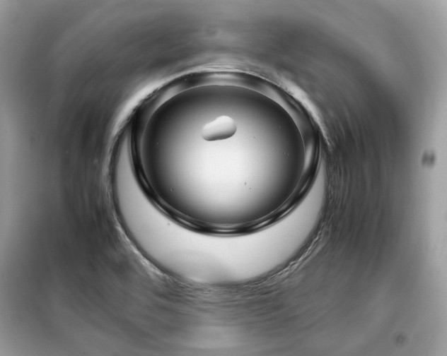 X0000099411464200805091207