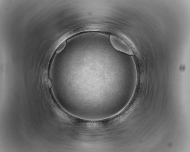 X0000099411465200805091207