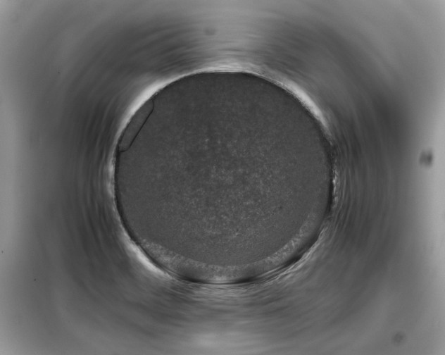 X0000099411468200805091207