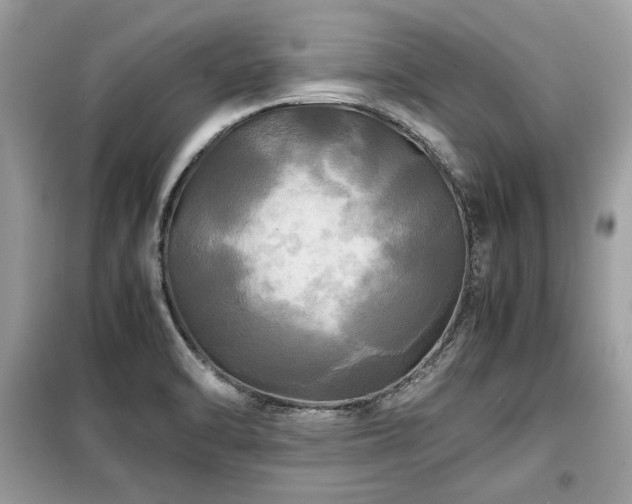 X0000099411470200805091207