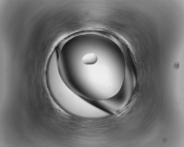 X0000099411471200805091207