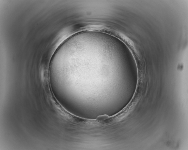 X0000099411473200805091207