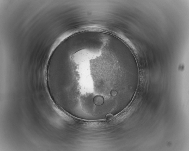 X0000099411474200805091207