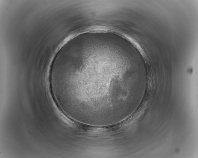 X0000099411475200805091207