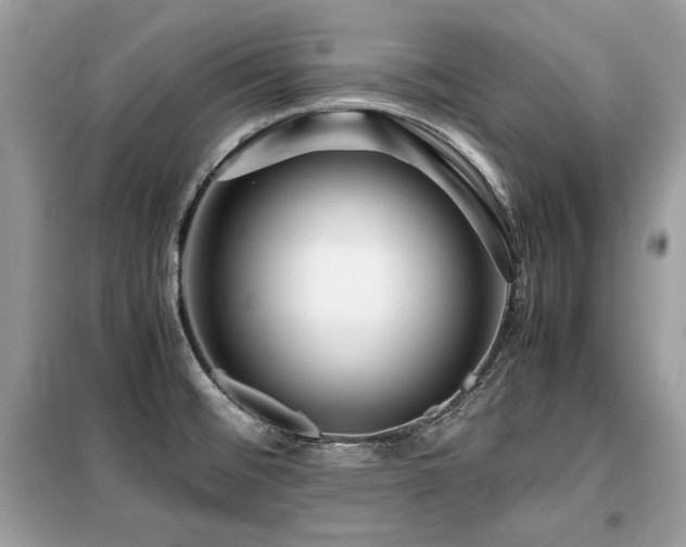 X0000099411476200805091207