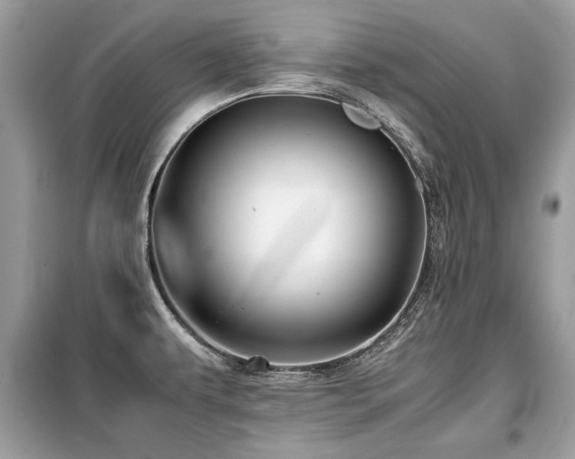 X0000099411479200805091207