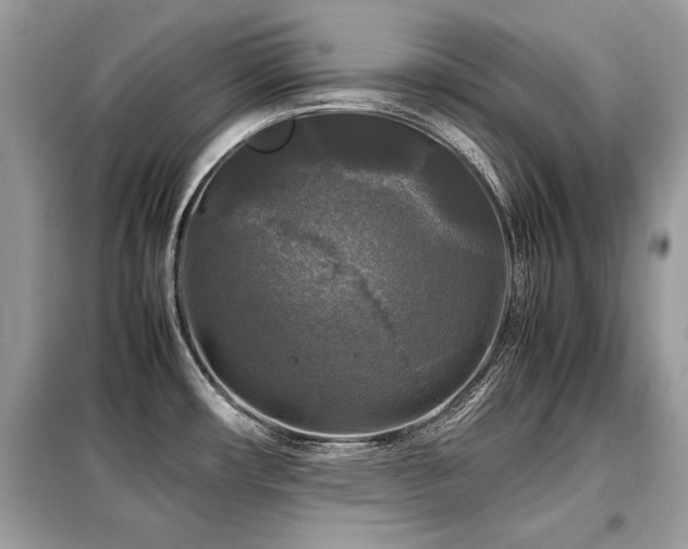 X0000099411482200805091207