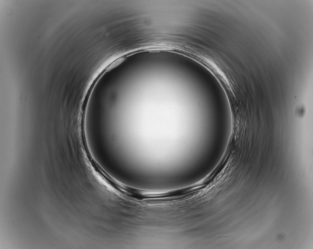 X0000099411484200805091207