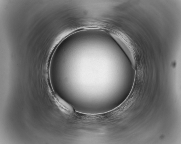 X0000099411485200805091207